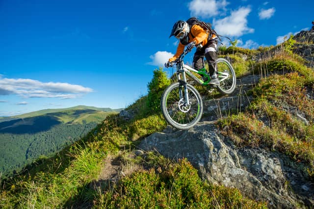 Voodoo, Vitus or Pinnacle: which is the best mountain bike for you?