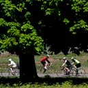 Cyclists ride their bicycles in the sunshine in Richmond Park.