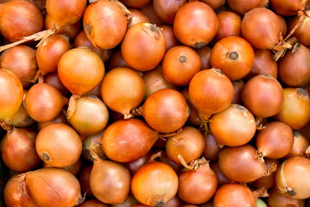 Spiders dislike onions. 