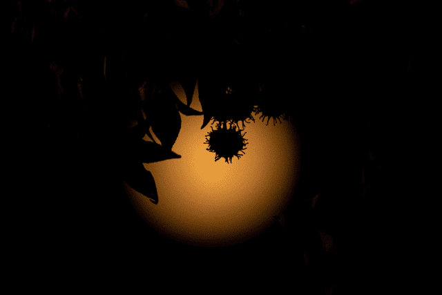 A supermoon is 14% larger and 30% brighter than a regular full moon
