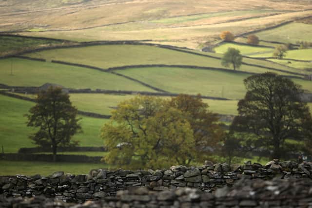 Yorkshire dales (getty images) 