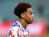 Leeds United’s fierce rivals ‘join’ chase for Tyler Adams after impressive World Cup