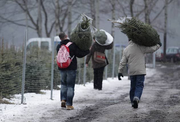 Here’s where you can recycle your Christmas tree in Leeds