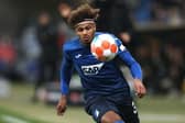 What will Georginio Rutter add to Leeds’ setup?