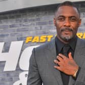 Idris Elba attends the premiere of Universal Pictures' "Fast & Furious Presents: Hobbs & Shaw" at Dolby Theatre on July 13, 2019 in Hollywood, California. (Photo by Emma McIntyre/Getty Images)