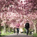 The key information you need for spring 2026, including the start and end dates of the season, and where to shop for the best spring sales.