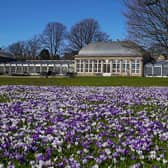 Members of the public enjoy the spring weather in the Botanical Gardens in Sheffield on 17 March 2022.