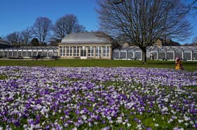 Members of the public enjoy the spring weather in the Botanical Gardens in Sheffield on 17 March 2022.