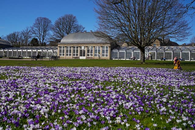 Members of the public enjoy the spring weather in the Botanical Gardens in Sheffield on 17 March 2022.