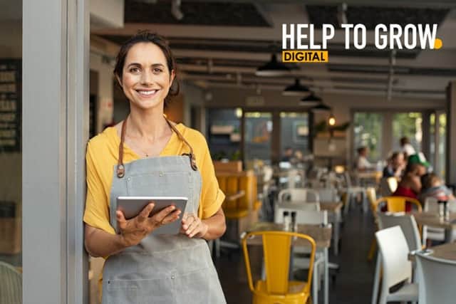Help To Grow scheme set to match thousands of small businesses with volunteer mentors