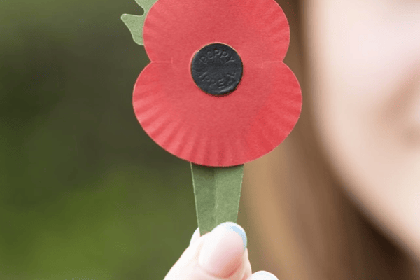 The new plastic-free poppy (Photo: Royal British Legion) 