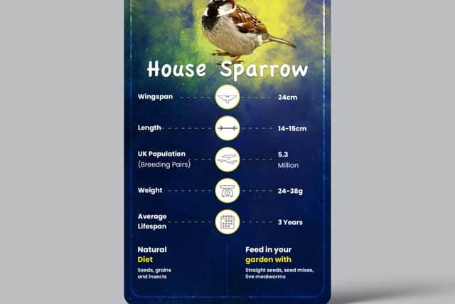 Bird card for the House Sparrow