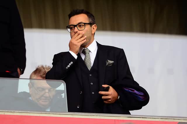 Leeds United owner Andrea Radrizzani reacts during a match