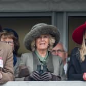 Camilla with son Tom (left) and daughter Laura (right)