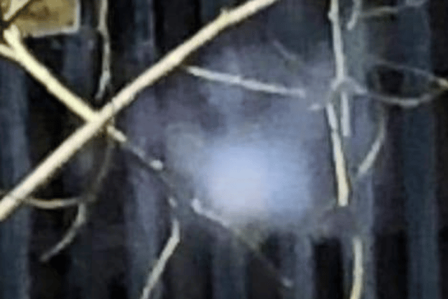 The 'ghostly apparition' in one of Stevens photos. 