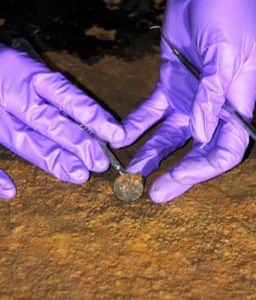 The 127-year-old coin found on Lord Nelson's ship