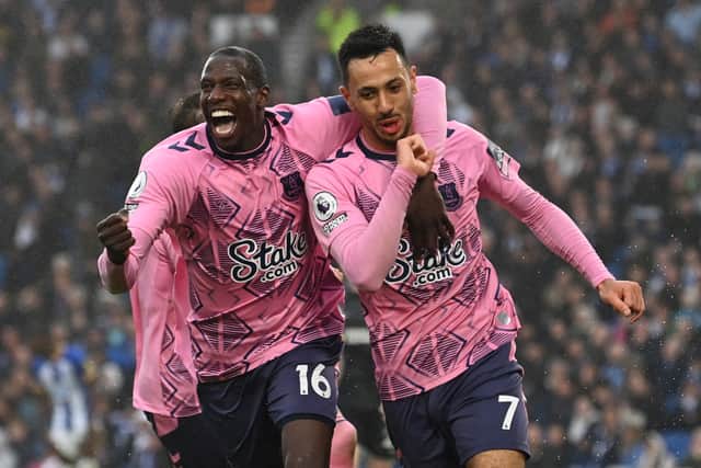 Everton could still be relegated on the final day of the season (Image: Getty Images)