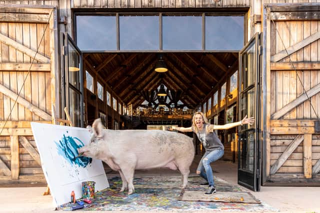 Pigcasso has made a fortune after finding a love of painting (Credit: Pigcasso - Joanne Lefson)