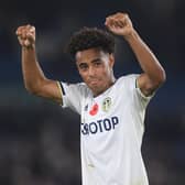 Bournemouth are close to signing Tyler Adams (Getty Images)