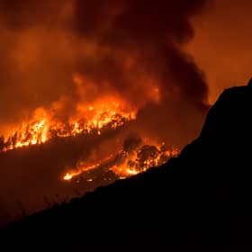 Wildfire rages in a forested area on the Canary island of Tenerife