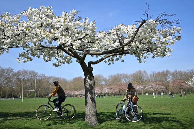 Cyclists in the park,