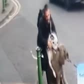 Police are looking to speak to the dangerous bull-breed’s owner in relation to the horrifying incident.