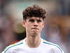 Leeds United coach reveals fans’ impact on Archie Gray development after youngster’s breakthrough