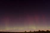 A Draconid meteor near Skekarsbo at the Farnebofjardens national park 150 kilometers north of Stockholm in 2011 (Photo: P-M HEDEN/AFP via Getty Images)