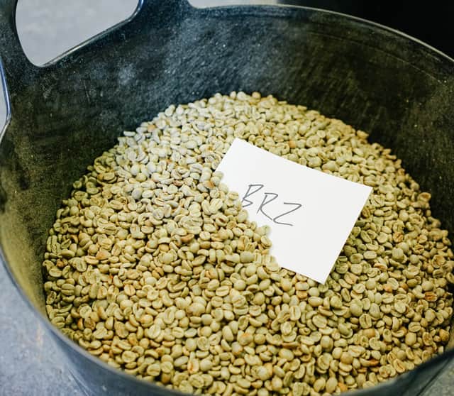 Zach puts lots of time into sourcing ethical coffee. Picture by Chipp Coffee Co.