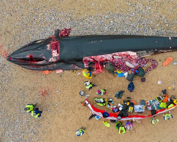 A 16-metre-long fin whale washed up on Fistral Beach, Newquay in Cornwall on November 15. (SWNS)