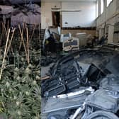 Police in Dewsbury seized over 100 cannabis plants and a number of stolen car parts in a raid in Dewsbury on Monday. Picture by West Yorkshire Police