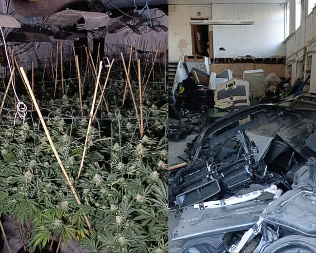 Police in Dewsbury seized over 100 cannabis plants and a number of stolen car parts in a raid in Dewsbury on Monday. Picture by West Yorkshire Police