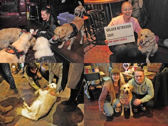 The POP + BARK Labrador Cafe in Leeds saw hundreds of pups and their humans enjoy the party.