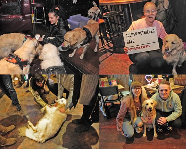 The POP + BARK Labrador Cafe in Leeds saw hundreds of pups and their humans enjoy the party.