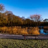 The Friends of Middleton Park group has hit out at claims  antisocial behaviour is “destroying” the park. Picture: James Hardisty