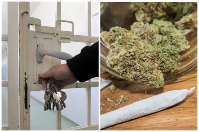 The judge locked Potter up for seven days before passing a suspended sentence, hoping it would have the desired effect after he caught dealing cannabis for a second time. (pics by National World)