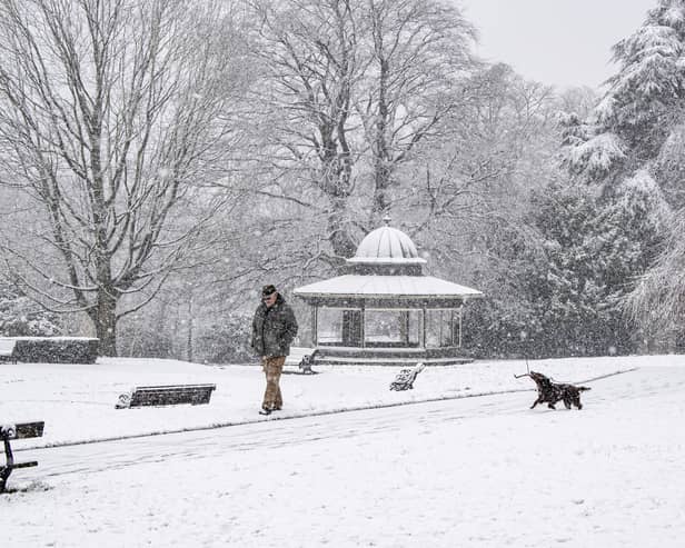 A snowy scene in Roundhay Park.