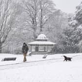 A snowy scene in Roundhay Park.