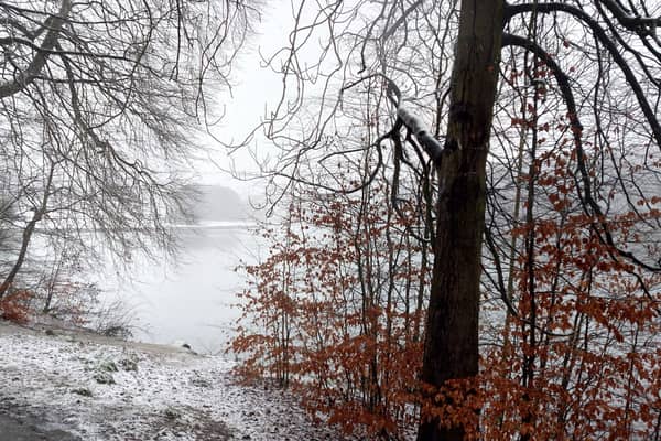 A snow-covered Roundhay Park (Photo by National World)