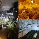 West Yorkshire Police uncovered the large cannabis farm in Featherstone (Photo by West Yorkshire Police)