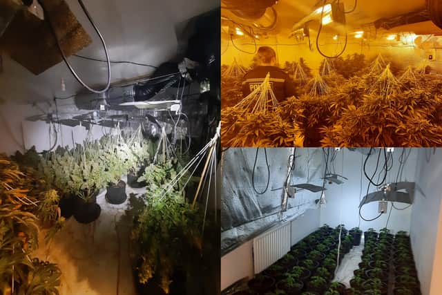 West Yorkshire Police uncovered the large cannabis farm in Featherstone (Photo by West Yorkshire Police)