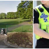 Faisal was wandering around Cross Flatts Park following women, and then made vile comments to the female officer who arrested him. (pics by Google Maps / National World)