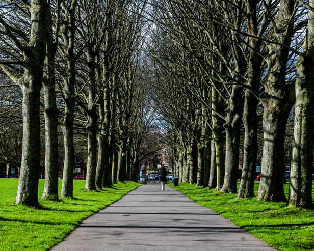 The Friends of Woodhouse Moor group spoke out after the previously scrapped plans resurfaced. Picture: James Hardisty