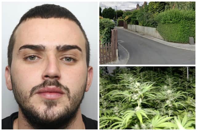 Muha's finger prints were found at the property on Nowell Gardens where a large cannabis grow was uncovered. (pics by WYP / Google Maps)