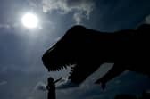 Holy Name Primary pupils Madeleine Durkan tries to fend off the giant inflatable dinosaur, which has appeared on the school's playground in May 2004.