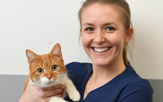 Veterinary surgeon Heather Morrison with Gary the cat.
Photo: Gerard Binks