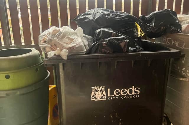Alexandra complained that the issue of rats outside her flat had been exacerbated by the letting agents not controlling waste disposal adequately. Photo: Alexandra Spencer