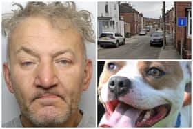Midgley attacked the man then let his Staffordshire Bull Terrier (not pictured) maul the victim. (Pics by WYP / National World / Google Maps)