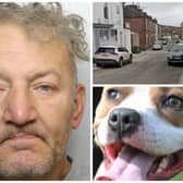 Midgley attacked the man then let his Staffordshire Bull Terrier (not pictured) maul the victim. (Pics by WYP / National World / Google Maps)