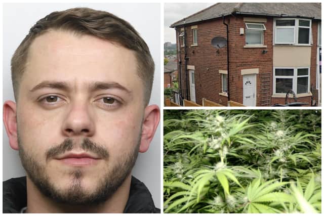 Pula was tasked with tending to the cannabis farm at the property on Malvern Street, but it was receipts from the shops that helped convict him. (pics by WYP / Google Maps)